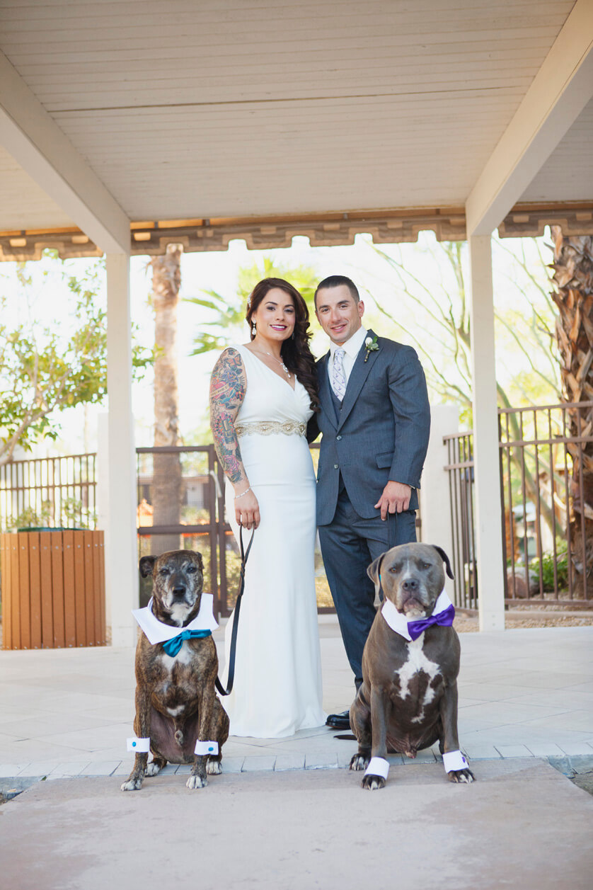Dogs are part of the bridal party