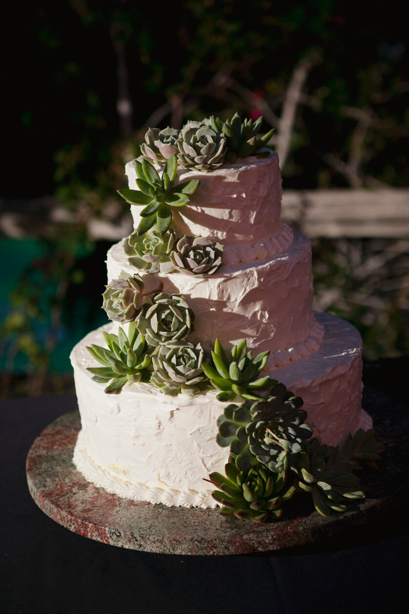 Wedding Cake, Palm Springs California