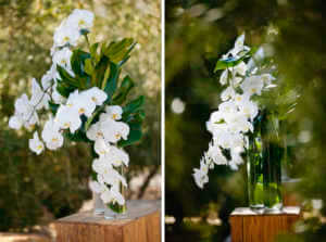 Artisan Events, Orchids, White Orchids, simple, elegant
