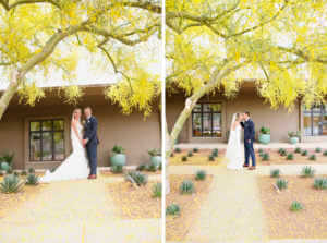 Couples portraits under the yellow blooms of a Palo Verde tree