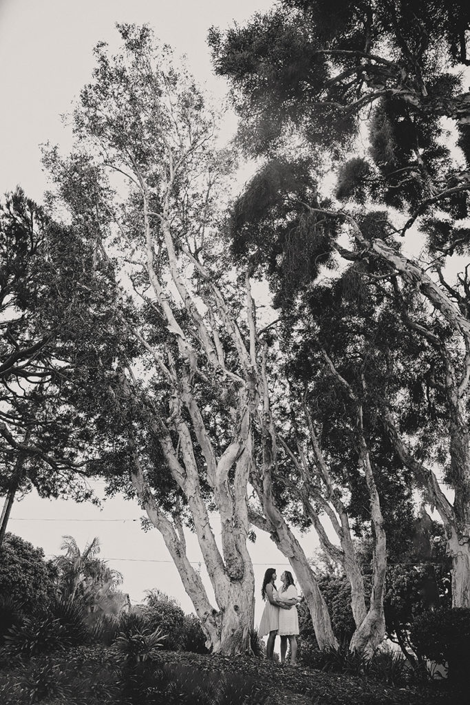 GPT

Under the sprawling canopy of eucalyptus trees, two brides stand hand in hand, dwarfed by the towering natural cathedral around them. The monochrome filter heightens the timeless elegance of their dresses against the textured bark and the dense foliage above.