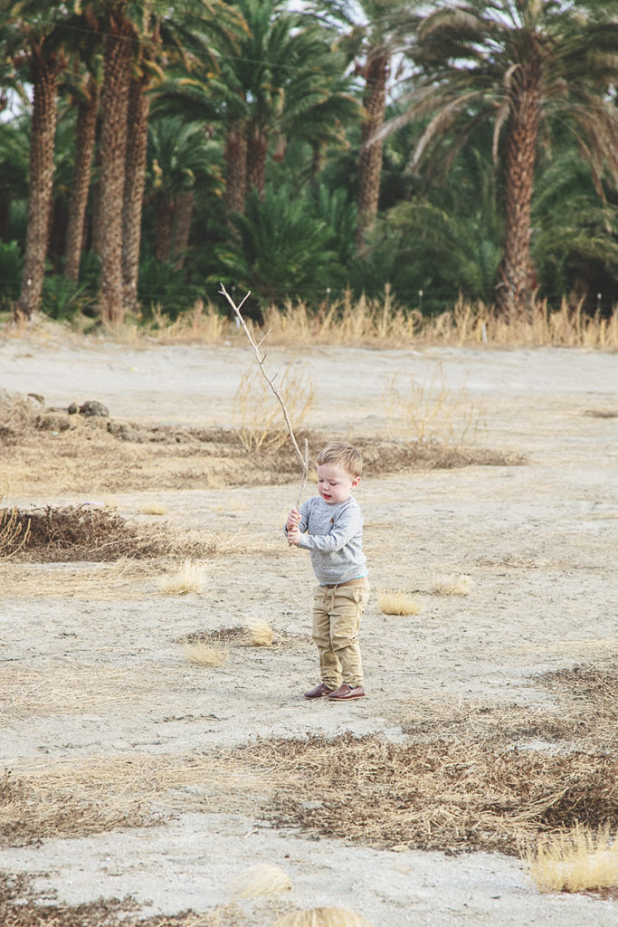 Young boy finds the perfect stick to play with at the end of a family photo session 