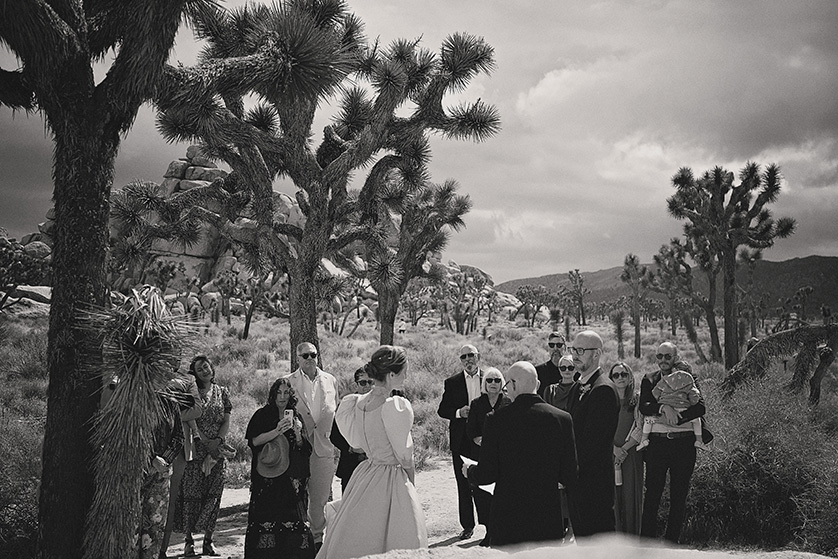 A black and white photo of the ceremony and guests with Joshua Tree National Park in the backdrop