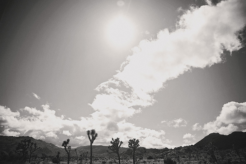 Dramatic skyline at sunset in Joshua Tree Ca.