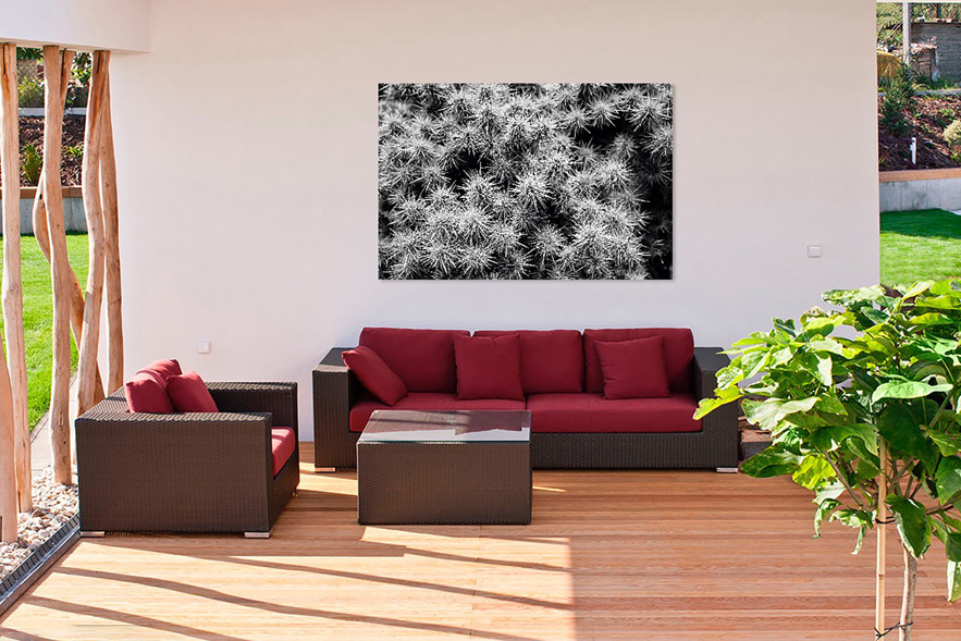 Photo of a patio furniture set with cactus photograph on the wall