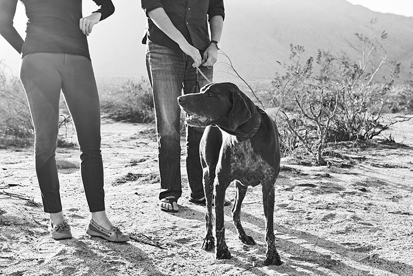 Black and white candid photo of dog