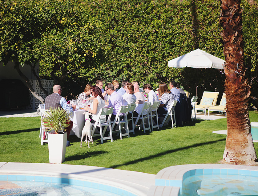 Wedding guests enjoy an outdoor reception meal at a long table in a sunny Palm Springs backyard, with a greyhound nearby.