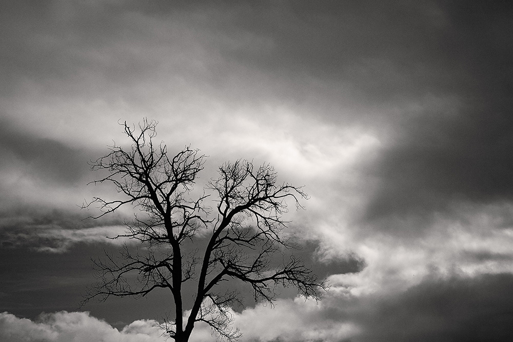 Black and white fine art photograph of a bare tree silhouetted against layered storm clouds, dramatic sky with strong contrast and negative space.