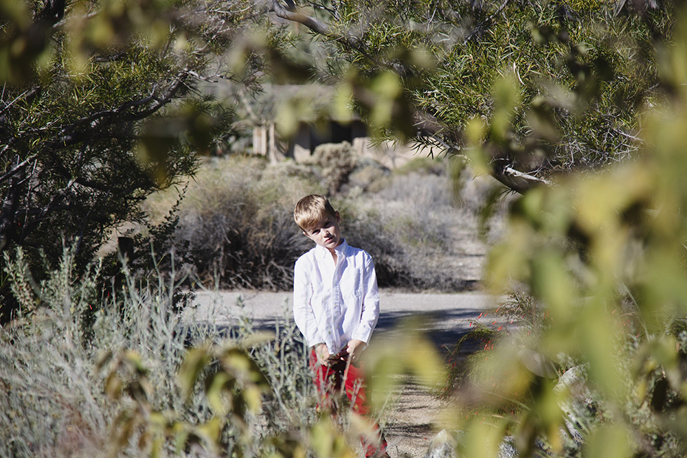 This image captures a tender moment between a mother and her young son during a relaxed Palm Springs family photo session. Surrounded by desert greenery and bathed in soft natural light, the interaction feels unposed and genuine—highlighting connection, trust, and affection. The documentary approach allows space for real emotion, resulting in family photographs that feel timeless and deeply personal. Moments like this are what make Palm Springs family photography so meaningful, preserving relationships just as they are.
