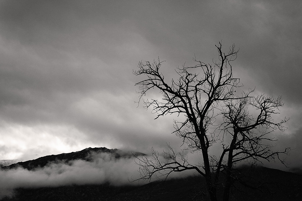 Black and white fine art photograph of a bare tree silhouetted against storm clouds and a fog-covered mountain, moody desert landscape with dramatic light.