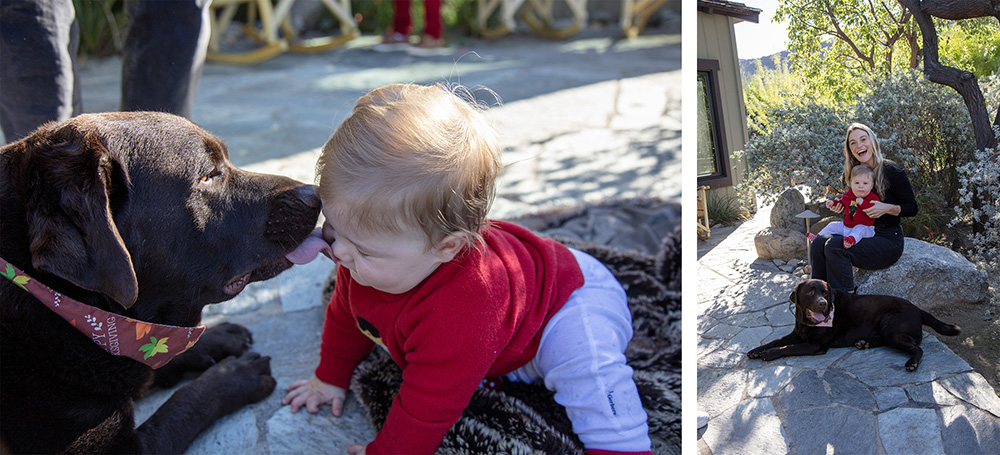 Palm Springs family photo of a baby crawling toward the family dog during a candid outdoor session in a sunlit desert garden in California