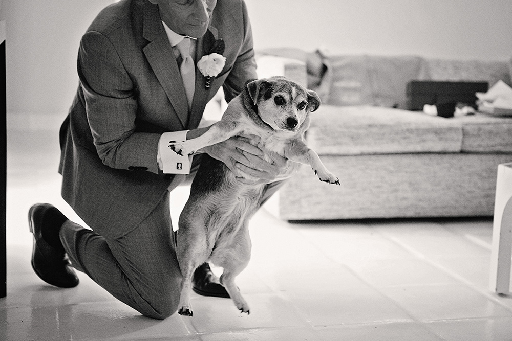 Black and white candid photo of a groom holding a small dog while getting ready for his intimate wedding at the Avalon Hotel in Palm Springs.