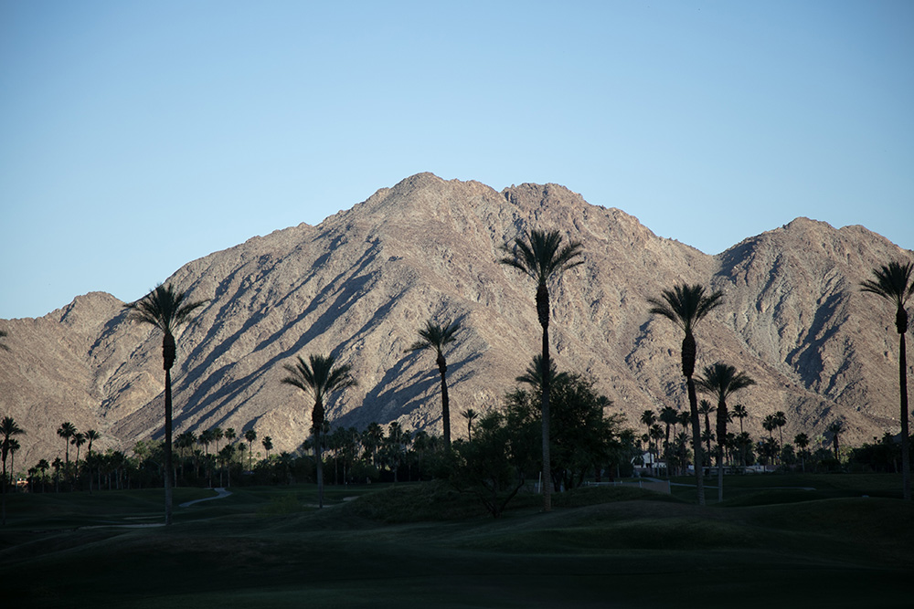Photo of La Quinta mountains and palm trees at sunset
