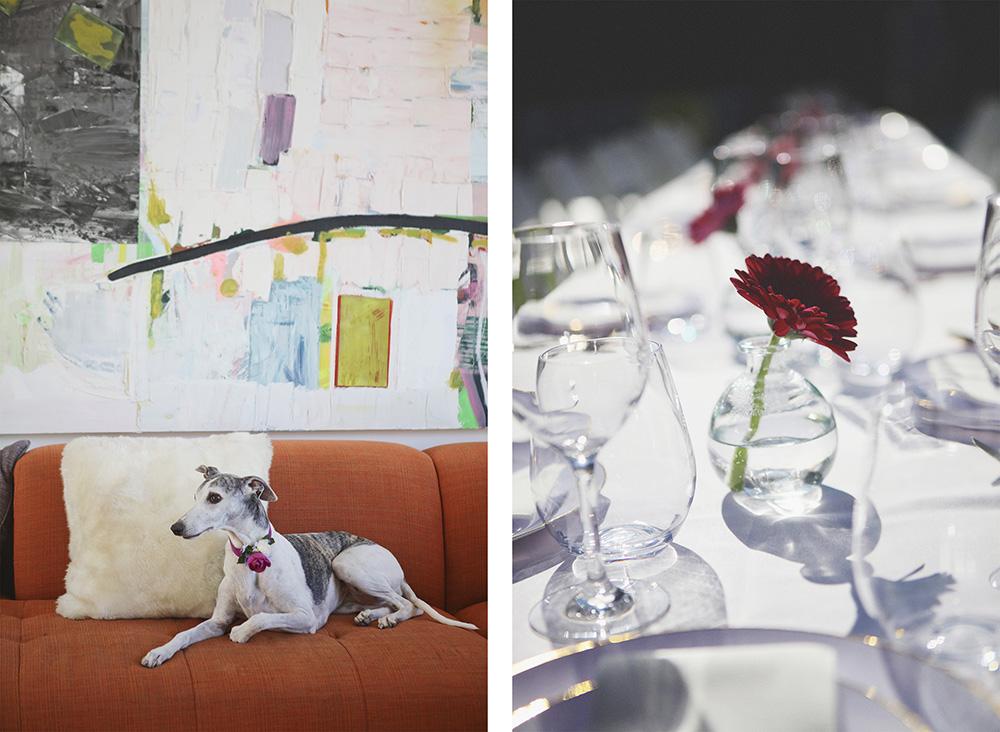 Left photo, a dog with a rose collar sits on an orange couch. Right photo, deep magenta Gerbera daisy in a simple glass vase